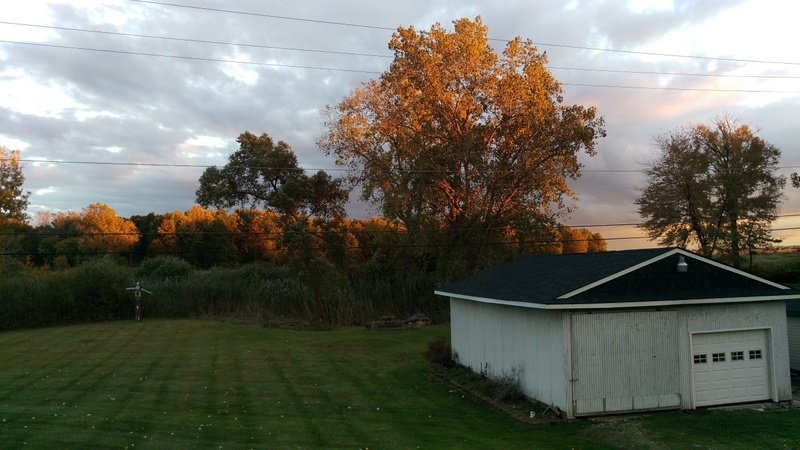 photo46.jpg