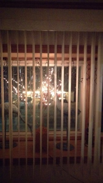photo9.jpg