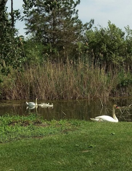 photo31.jpg