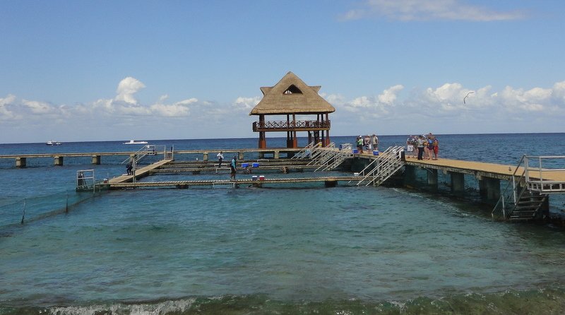 photo26.jpg