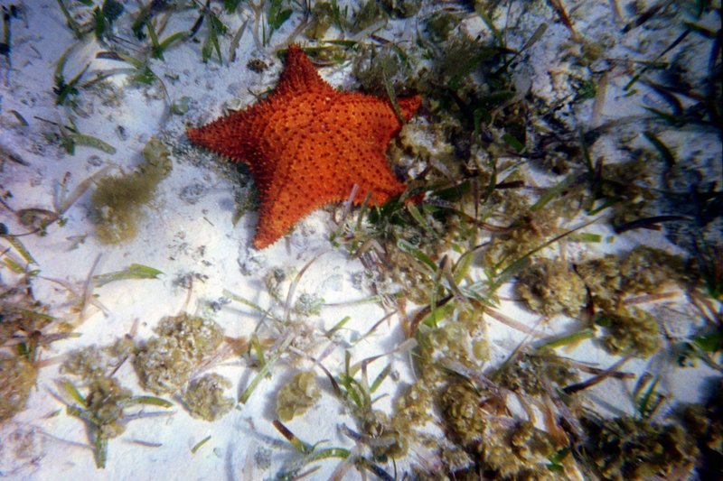 photo5.jpg