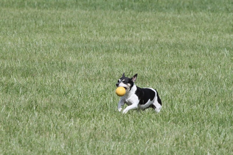 img_0235.jpg