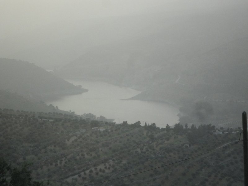 photo37.jpg