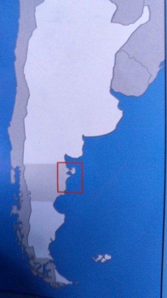photo200.jpg